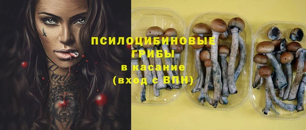 кокс Арсеньев