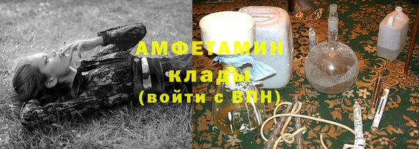 кокс Арсеньев