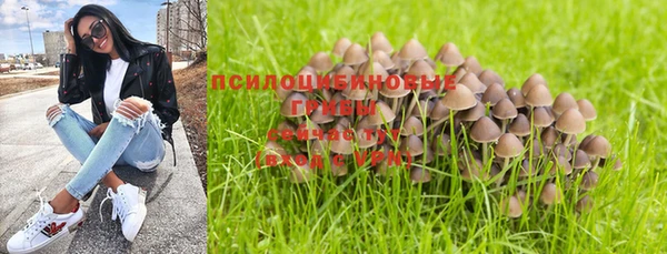 скорость Аркадак
